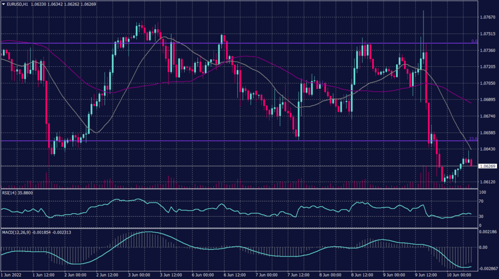 Euro Graph candle for 10 June 2022