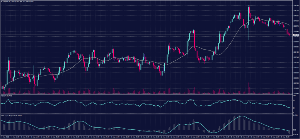 US Dollar Index chart on 29 August 2023